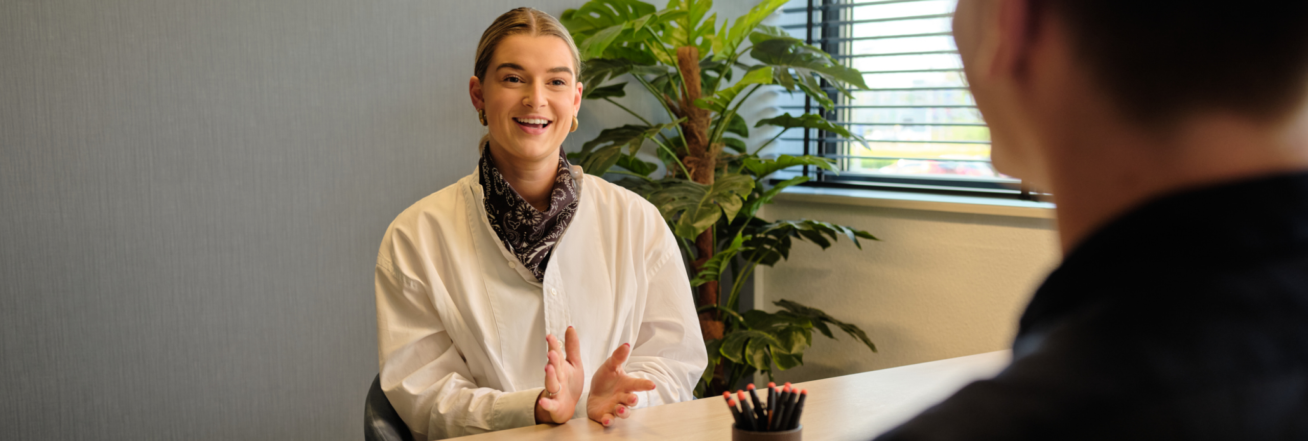 Overzicht algemene trainingen in het publiek domein